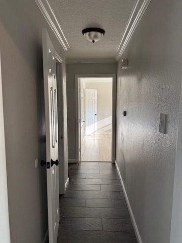 6014 Lattimer Drive, Houston, TX 77035