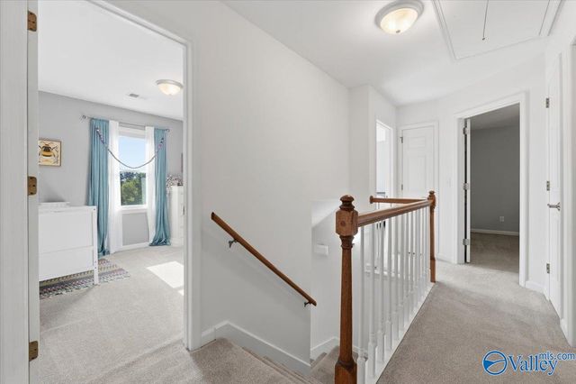 110 Mache Lane, Owens Cross Roads, AL 35763