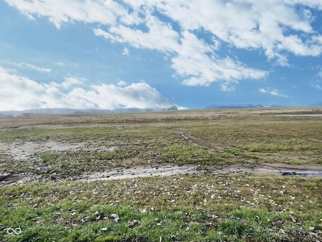 2 W CR 990 North Tract "H", Elizabethtown, IN 47232