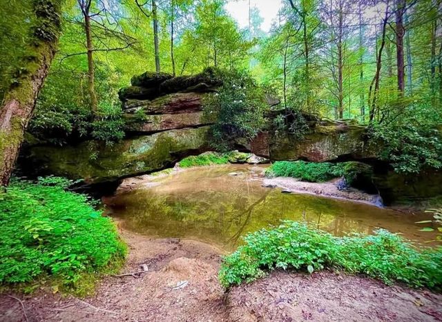 1237 Burton Williams Road, Irvine, KY 40336