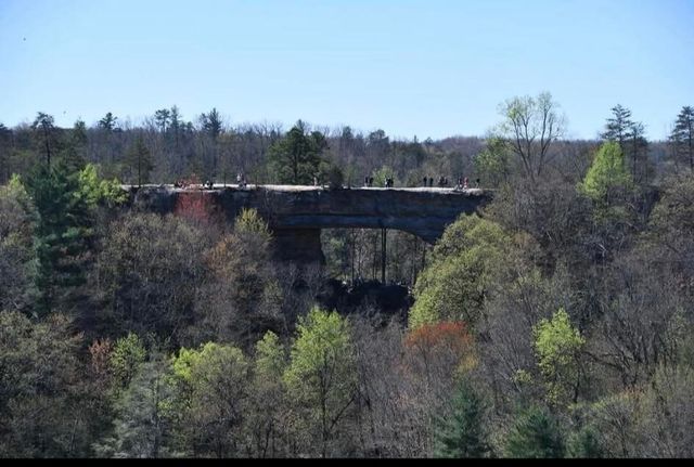 1237 Burton Williams Road, Irvine, KY 40336