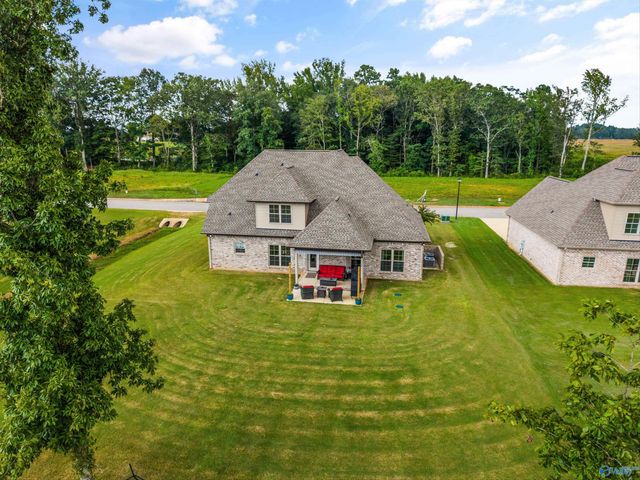 29332 Carnaby Lane, Toney, AL 35773