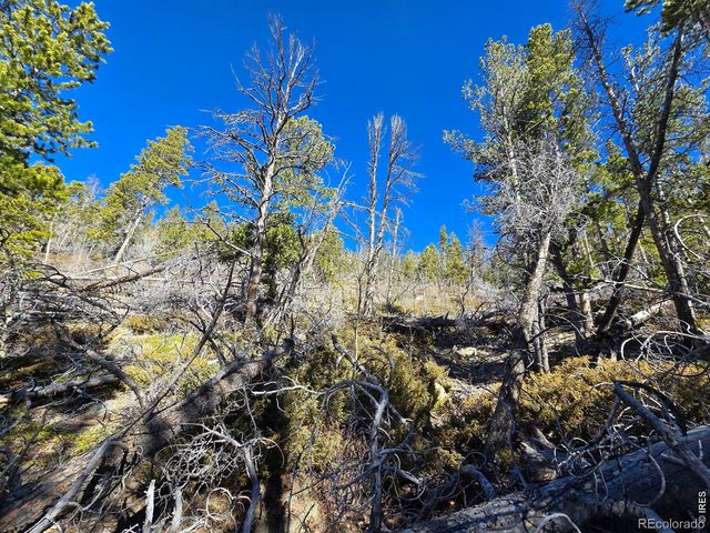 660 Jicarilla Trail, Red Feather Lakes, CO 80545