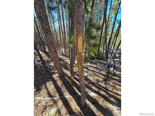 660 Jicarilla Trail, Red Feather Lakes, CO 80545