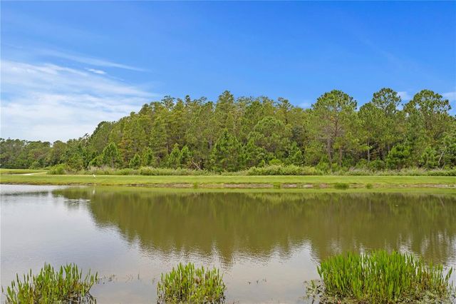 4887 ISOLA COURT, Wesley Chapel, FL 33543