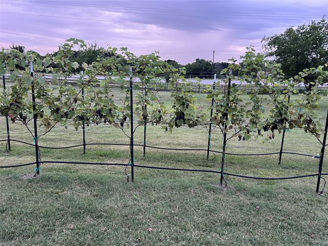 113 Heather Lane, Decatur, TX 76234