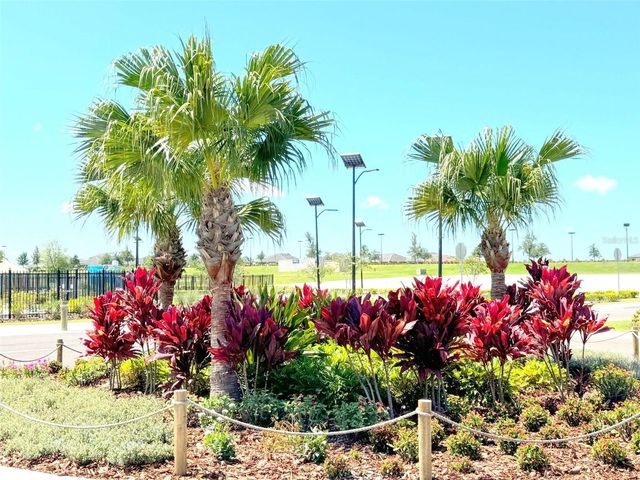 10171 TRUMPET HONEYSUCKLE WAY, San Antonio, FL 33576