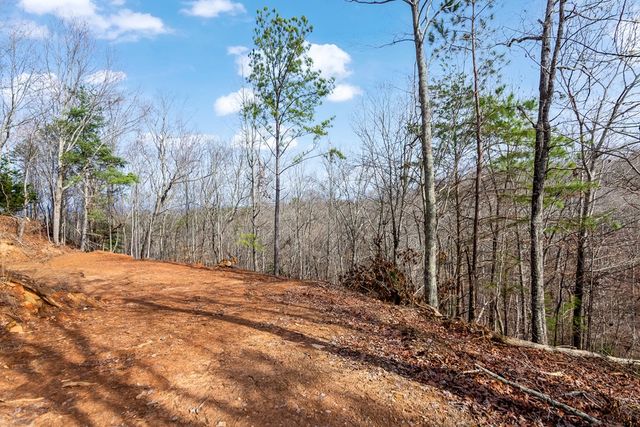 30 William Way, Ellijay, GA 30540