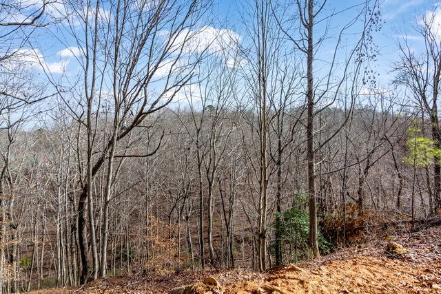 30 William Way, Ellijay, GA 30540