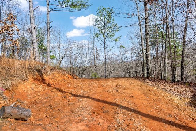 30 William Way, Ellijay, GA 30540