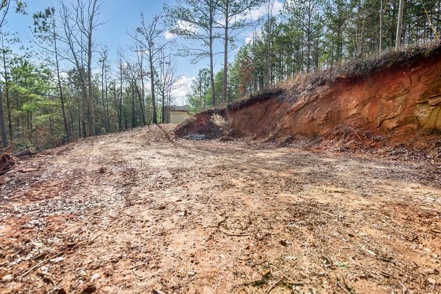 30 William Way, Ellijay, GA 30540