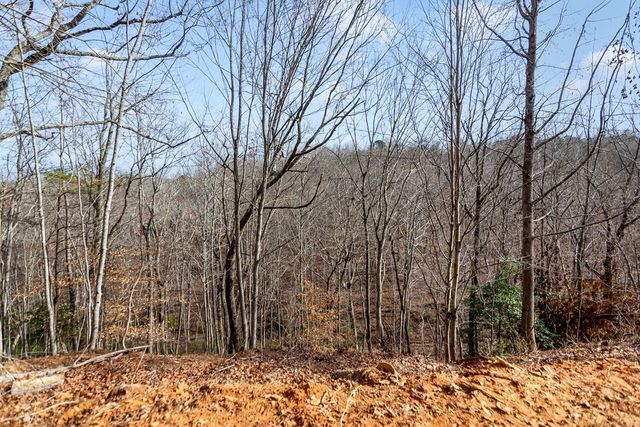 30 William Way, Ellijay, GA 30540