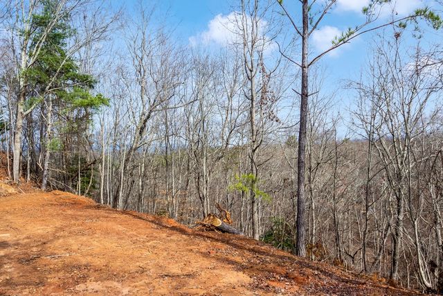 30 William Way, Ellijay, GA 30540