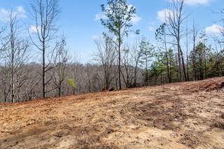 30 William Way, Ellijay, GA 30540