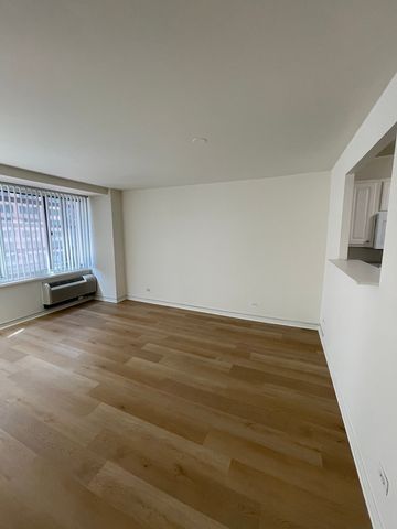 211 E OHIO Street 1013, Chicago, IL 60611
