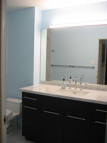 211 E OHIO Street 1013, Chicago, IL 60611