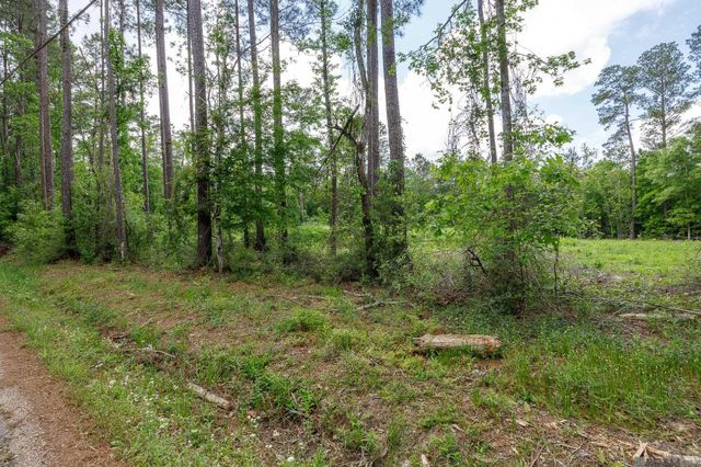 3a, 3b, & 4a Aydell Ln, French Settlement, LA 70733
