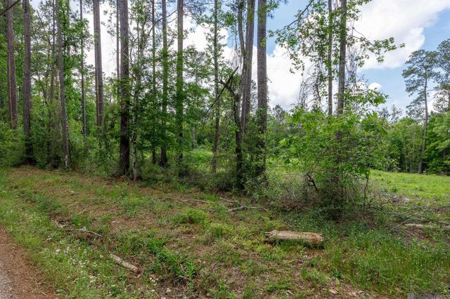 3a, 3b, & 4a Aydell Ln, French Settlement, LA 70733