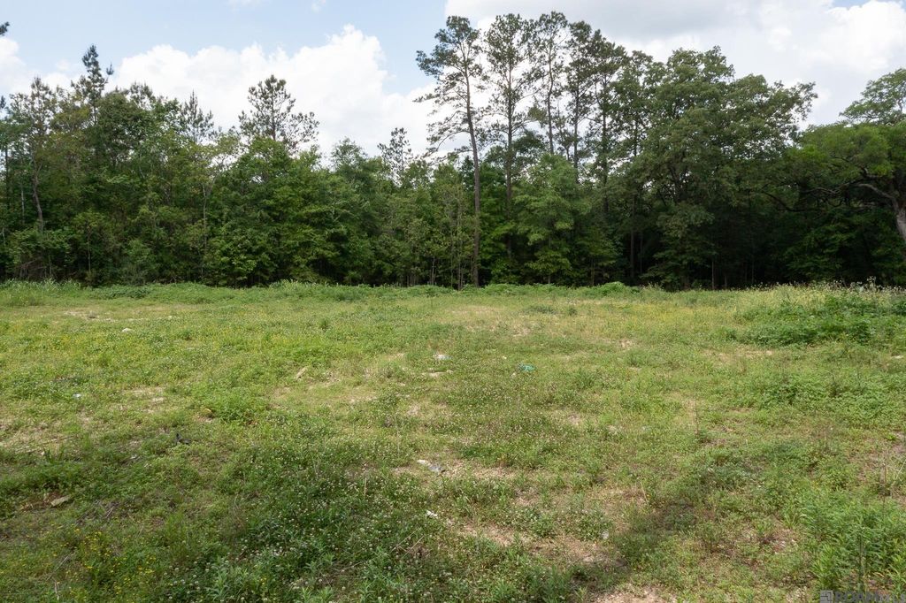 3a, 3b, & 4a Aydell Ln, French Settlement, LA 70733