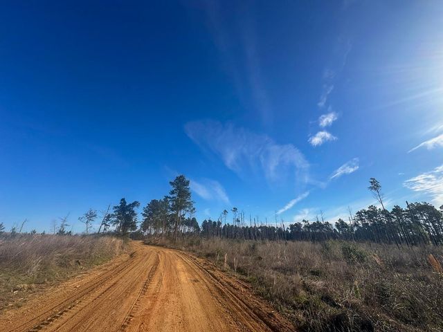 1 Granbury Rd, Livingston, TX 77351