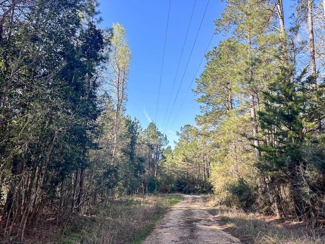 1 Granbury Rd, Livingston, TX 77351