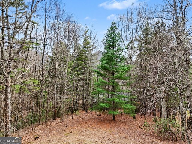 594 Sky High Drive, Sky Valley, GA 30537
