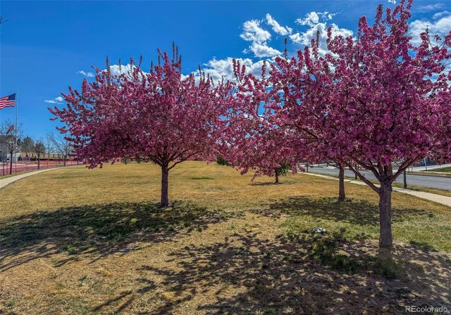 4043 Emerald Shore Drive, Loveland, CO 80538