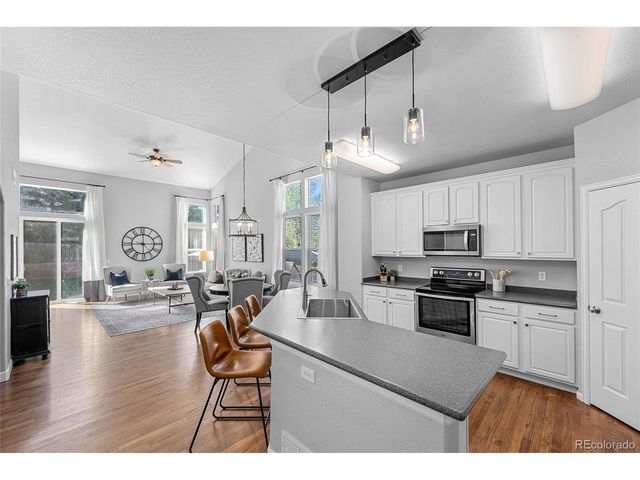 1002 Halfmoon Dr, Castle Rock, CO 80104
