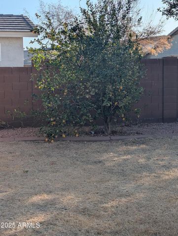 7417 W PARK Street, Laveen, AZ 85339