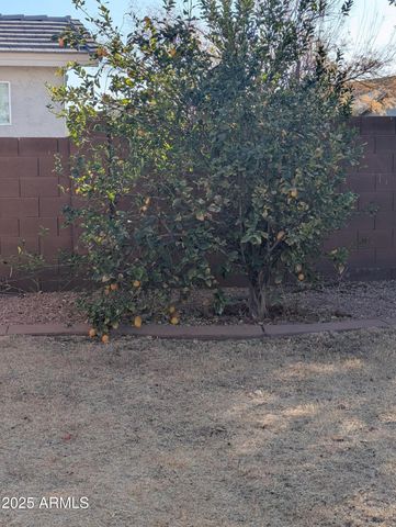 7417 W PARK Street, Laveen, AZ 85339