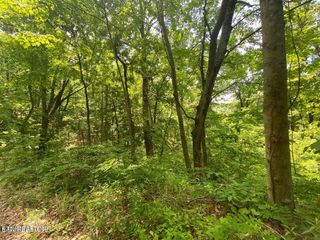 Lot 61 High St, Sevierville, TN 37876