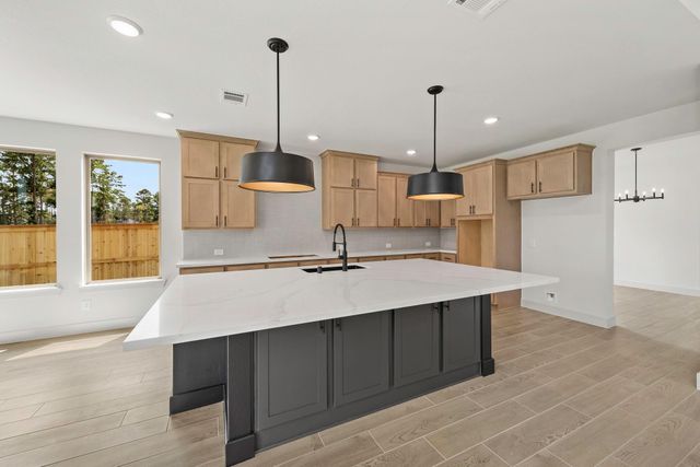 236 Sheepdog DR, Liberty Hill, TX 78642