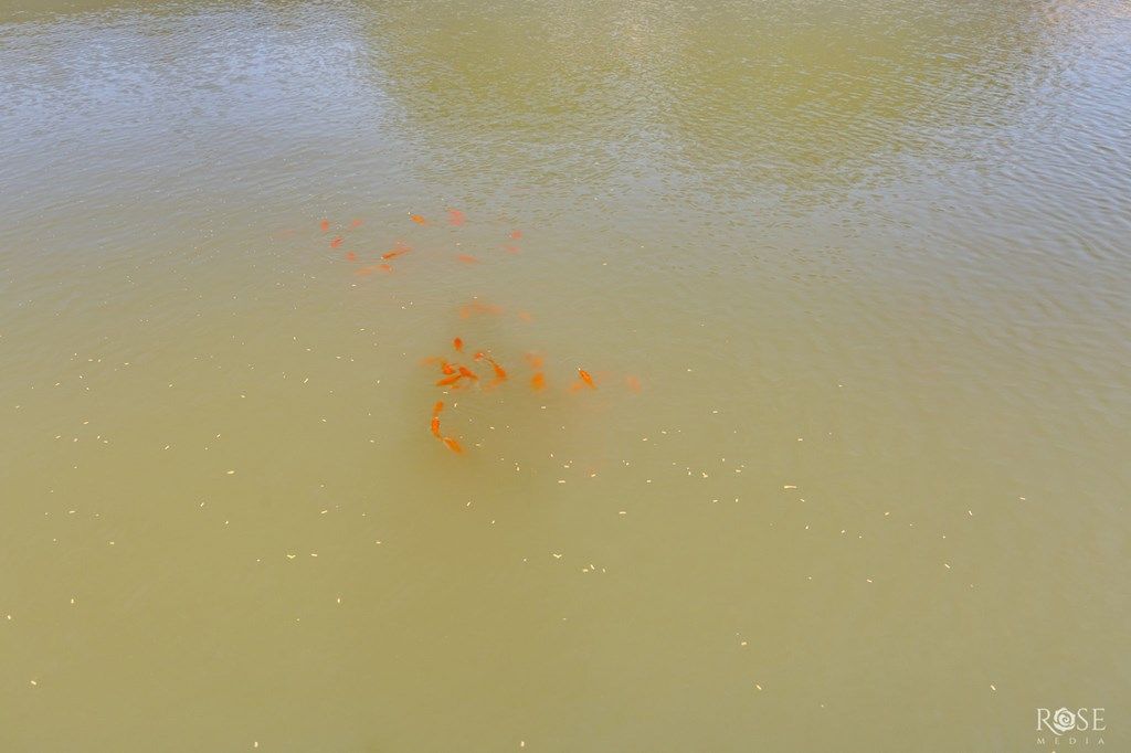 Image 48 of property listing at 7159 Hwy 277N, Sonora, TX 76950