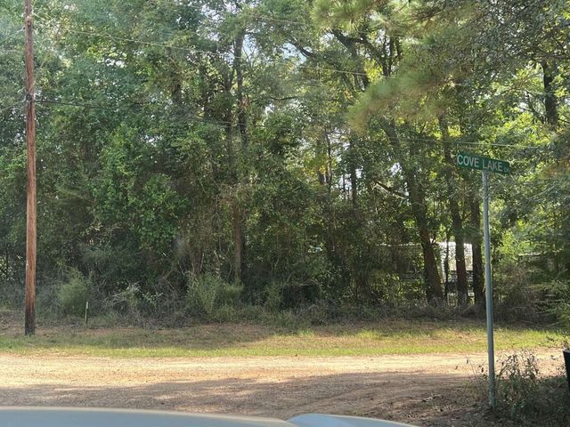 321 Holly Hill Road, Livingston, TX 77351