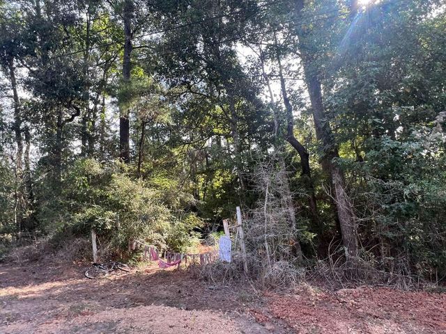 321 Holly Hill Road, Livingston, TX 77351