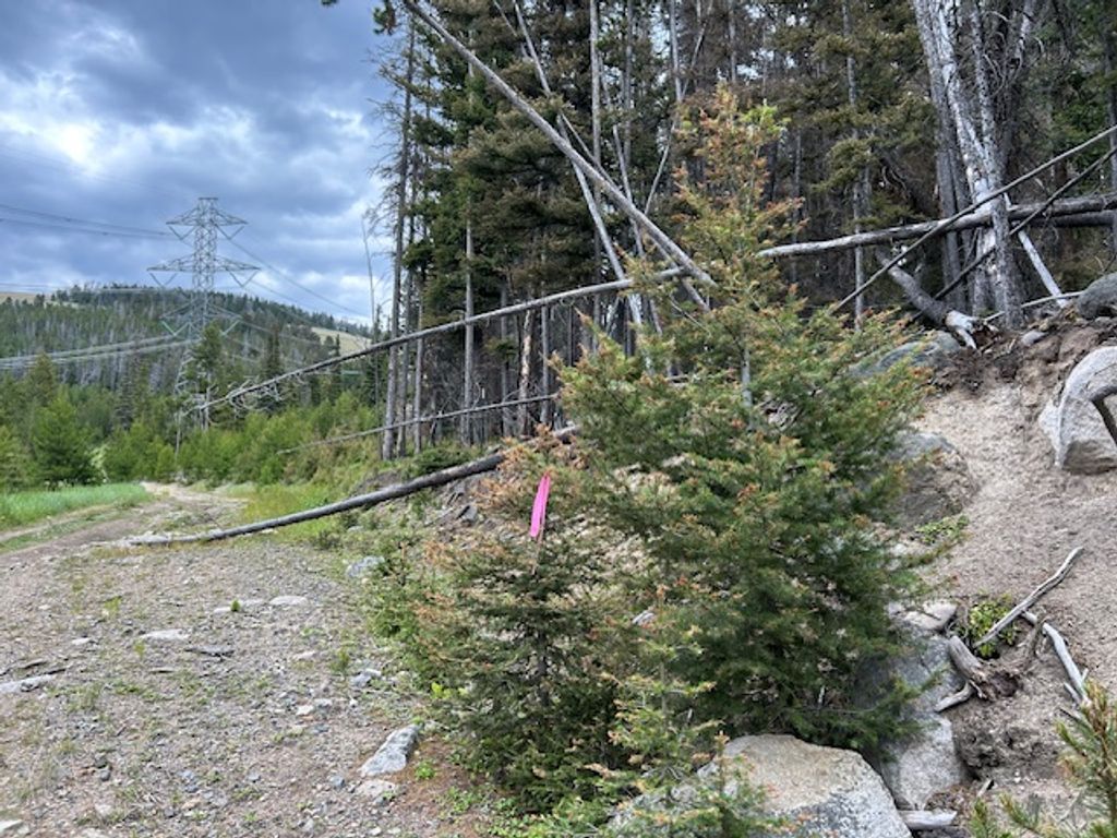 269 Boulder Chief Road, Basin, MT 59631 photo 11