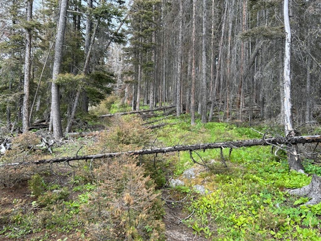 269 Boulder Chief Road, Basin, MT 59631 photo 13