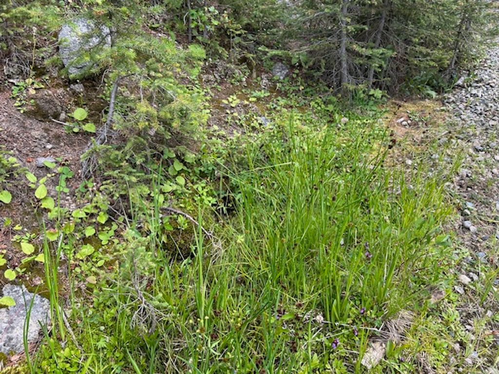 269 Boulder Chief Road, Basin, MT 59631 photo 17