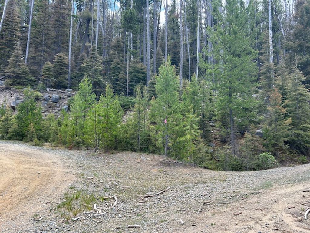 269 Boulder Chief Road, Basin, MT 59631 photo 2