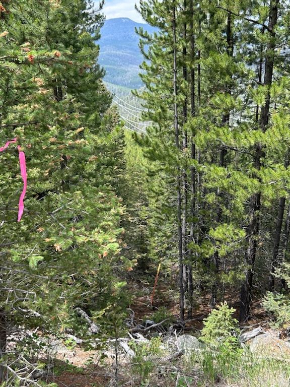 269 Boulder Chief Road, Basin, MT 59631 photo 4