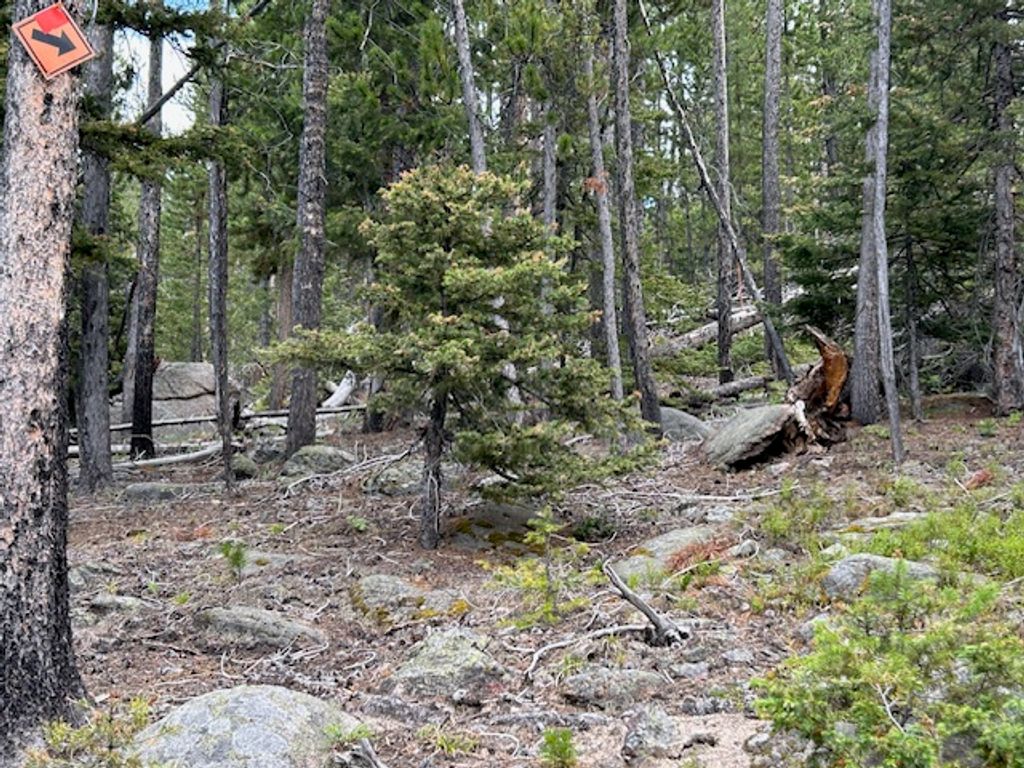 269 Boulder Chief Road, Basin, MT 59631 photo 6