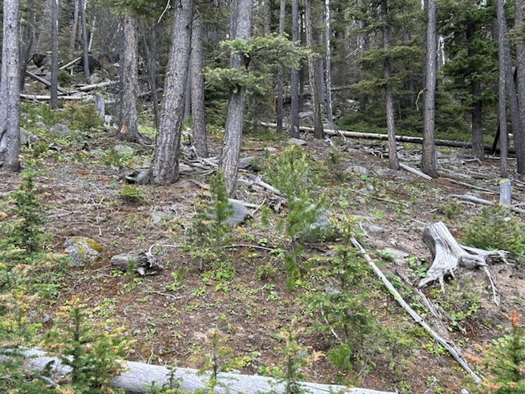 269 Boulder Chief Road, Basin, MT 59631 photo 7