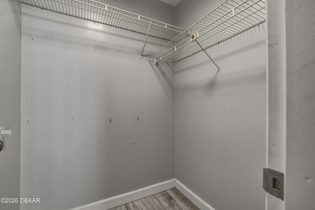 119 Timberline Trail, Ormond Beach, FL 32174