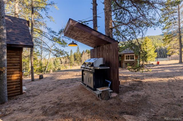 9719 Beaver Pond, Conifer, CO 80433