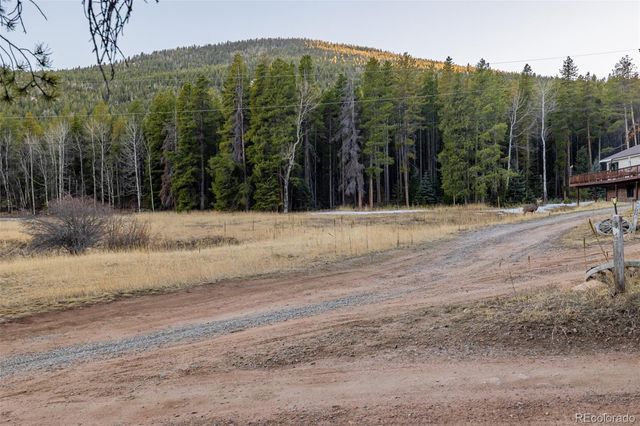 9719 Beaver Pond, Conifer, CO 80433