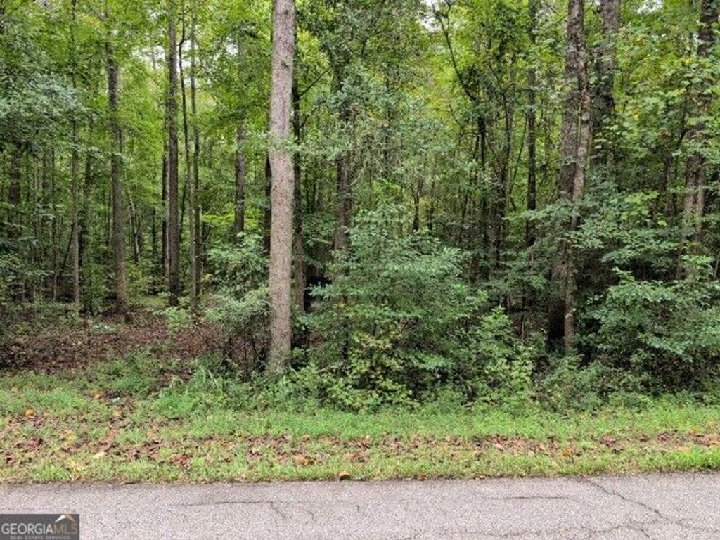 194 Tahoe Trail, Martin, GA 30557 — exterior