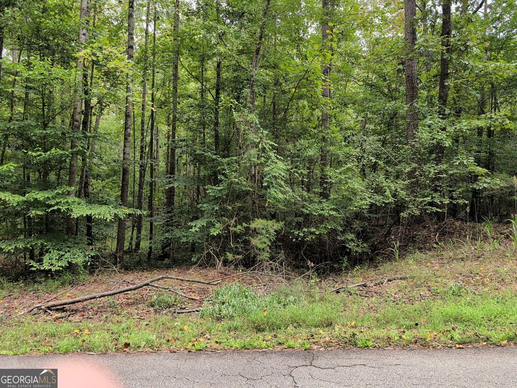 194 Tahoe Trail, Martin, GA 30557 — photo 2