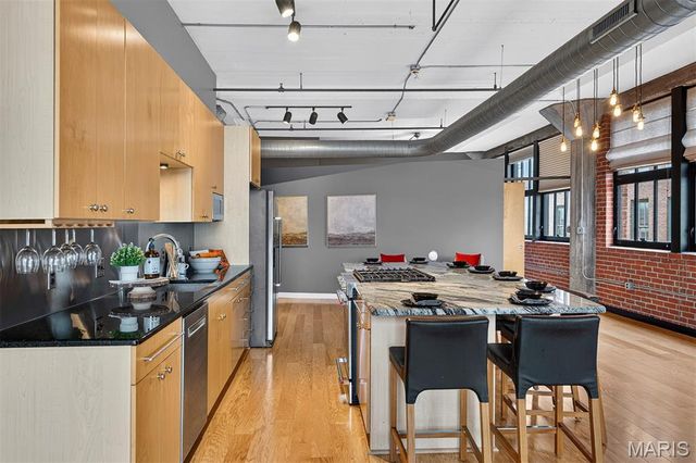 1619 Washington Avenue 802, St Louis, MO 63103