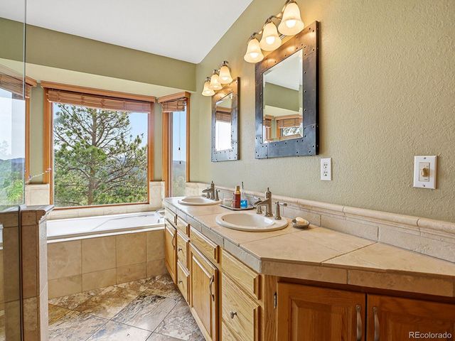 13532 Douglass Ranch Drive, Pine, CO 80470