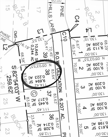53 Pine Hills Lane, Gordonville, TX 76245
